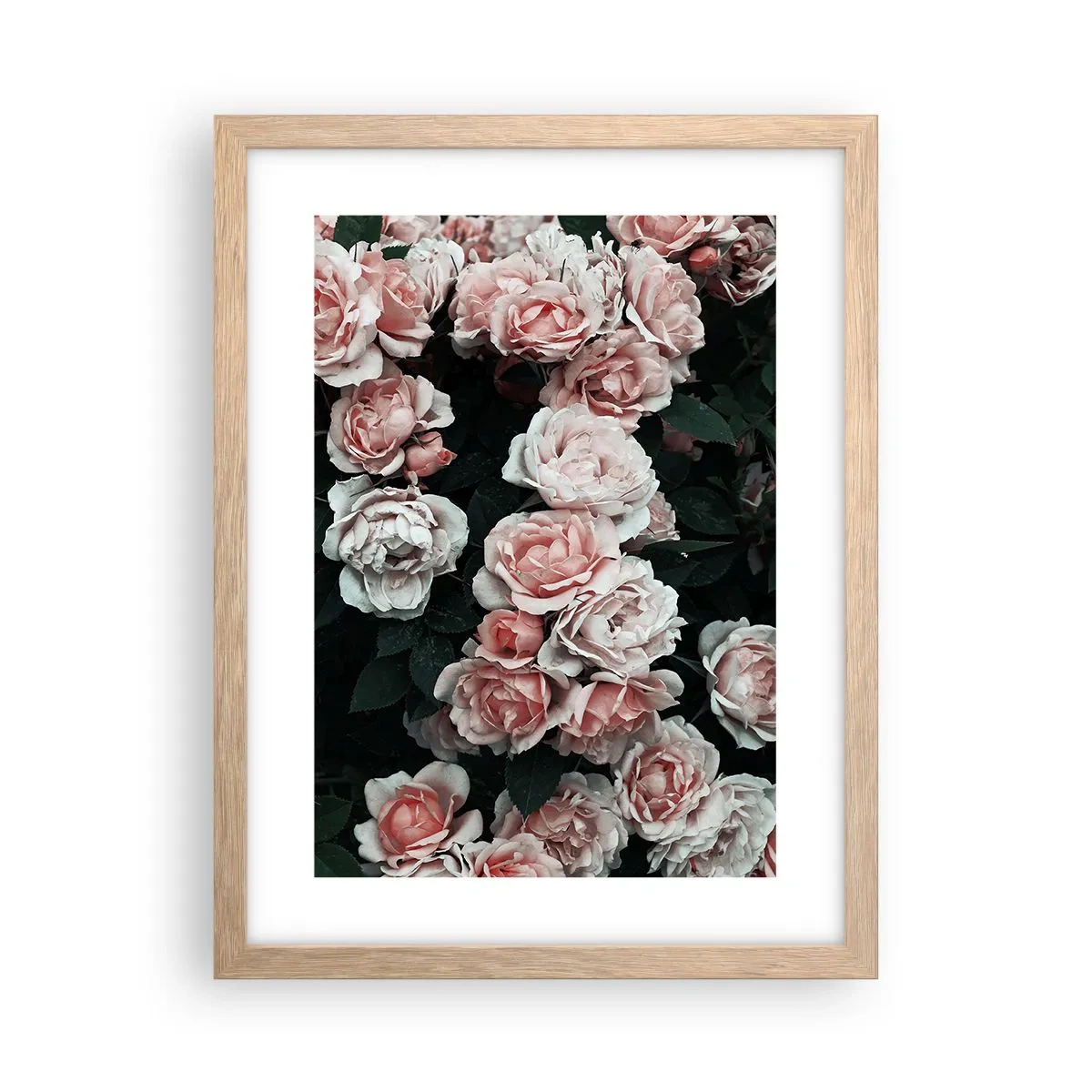 Plakat w ramie jasny dąb - Różany ansamble - 30x40 cm