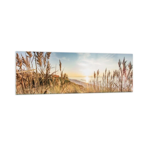 Obraz na szkle - Malownicza plaża z trawami i zachodzącym słońcem - 160x50cm - Północna plaża - Nowoczesna dekoracja ścienna do salonu i sypialni ARTTOR