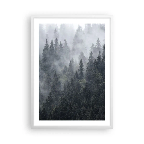 Plakat w białej ramie - Leśny świt - 50x70 cm