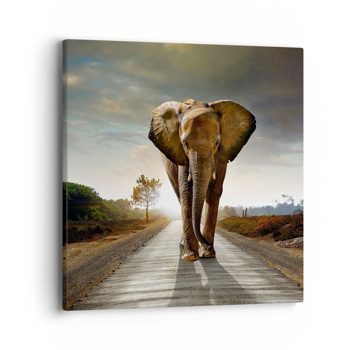 Obraz na płótnie - I wcale nie w składzie porcelany - 40x40 cm