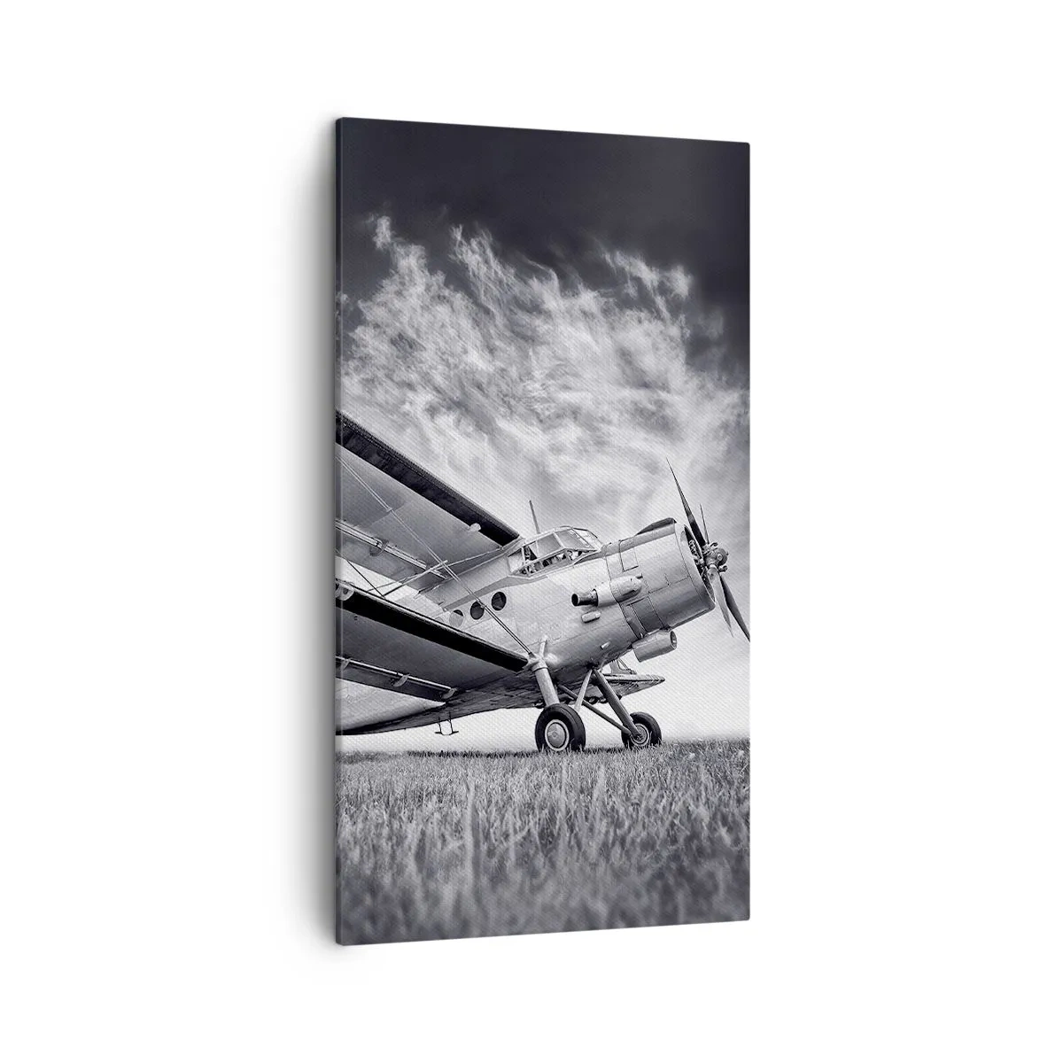 Obraz na płótnie - Skrzydlaty wędrowiec - 45x80 cm