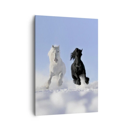 Obraz na płótnie - Biały i czarny koń galopujące w śniegu - 50x70cm - Czarno-biały galop - Nowoczesna dekoracja ścienna do salonu, kuchni i sypialni ARTTOR