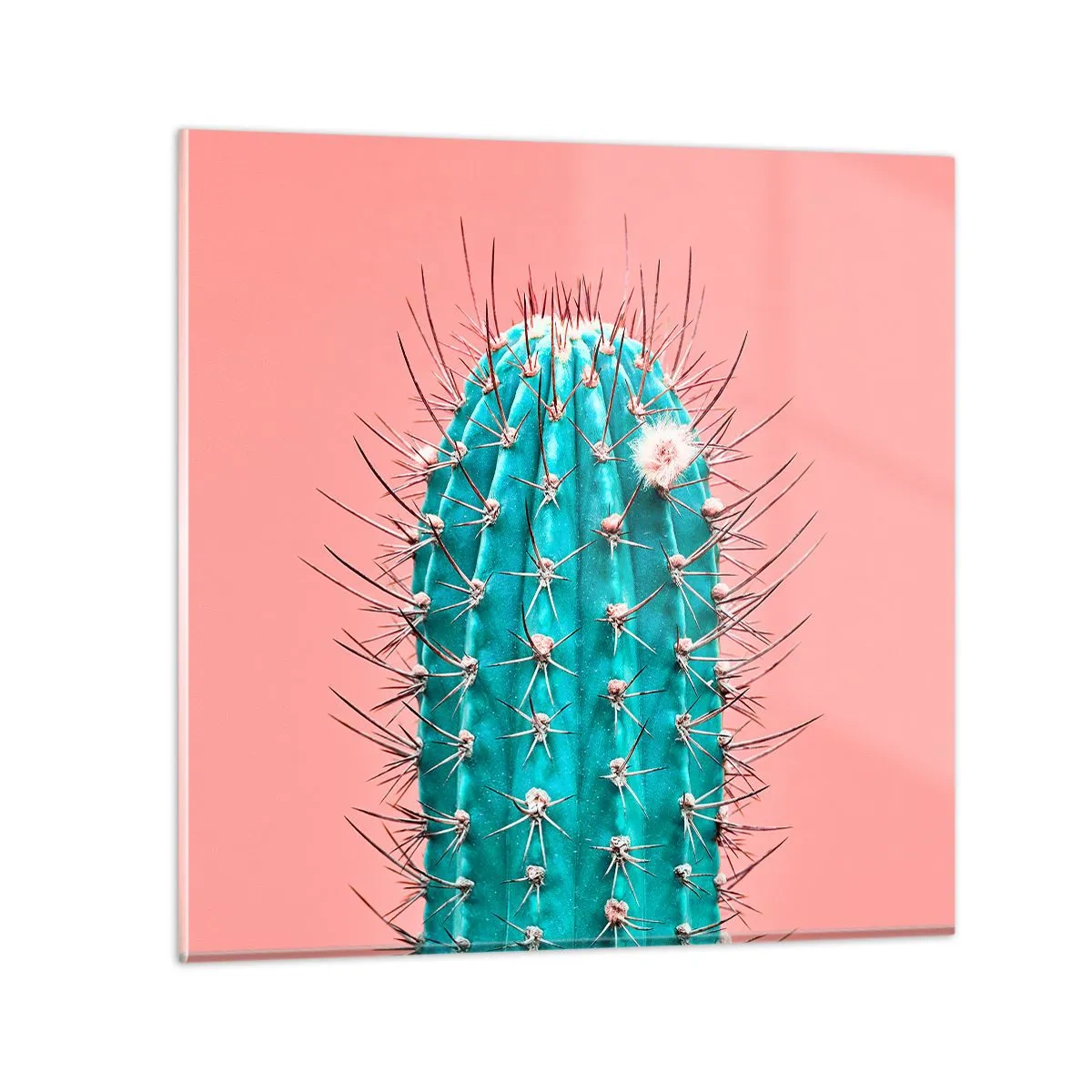 Obraz na szkle - Tylko patrz - 50x50 cm