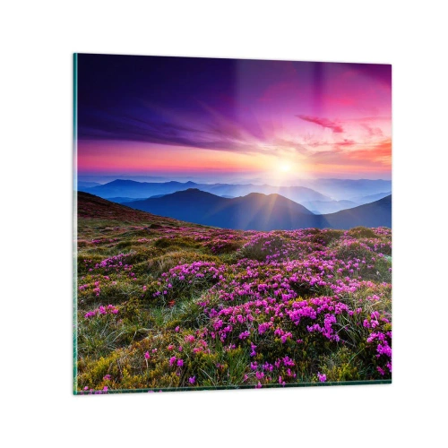 Obraz na szkle - Ziół zapachniały świeże pęki od niw - 70x70 cm