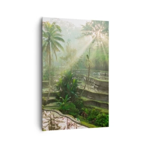 Obraz na płótnie - Tarasy ryżowe z palmami w promieniach słońca - 80x120cm - Dorastać w słońcu - Nowoczesna dekoracja ścienna do salonu i sypialni ARTTOR