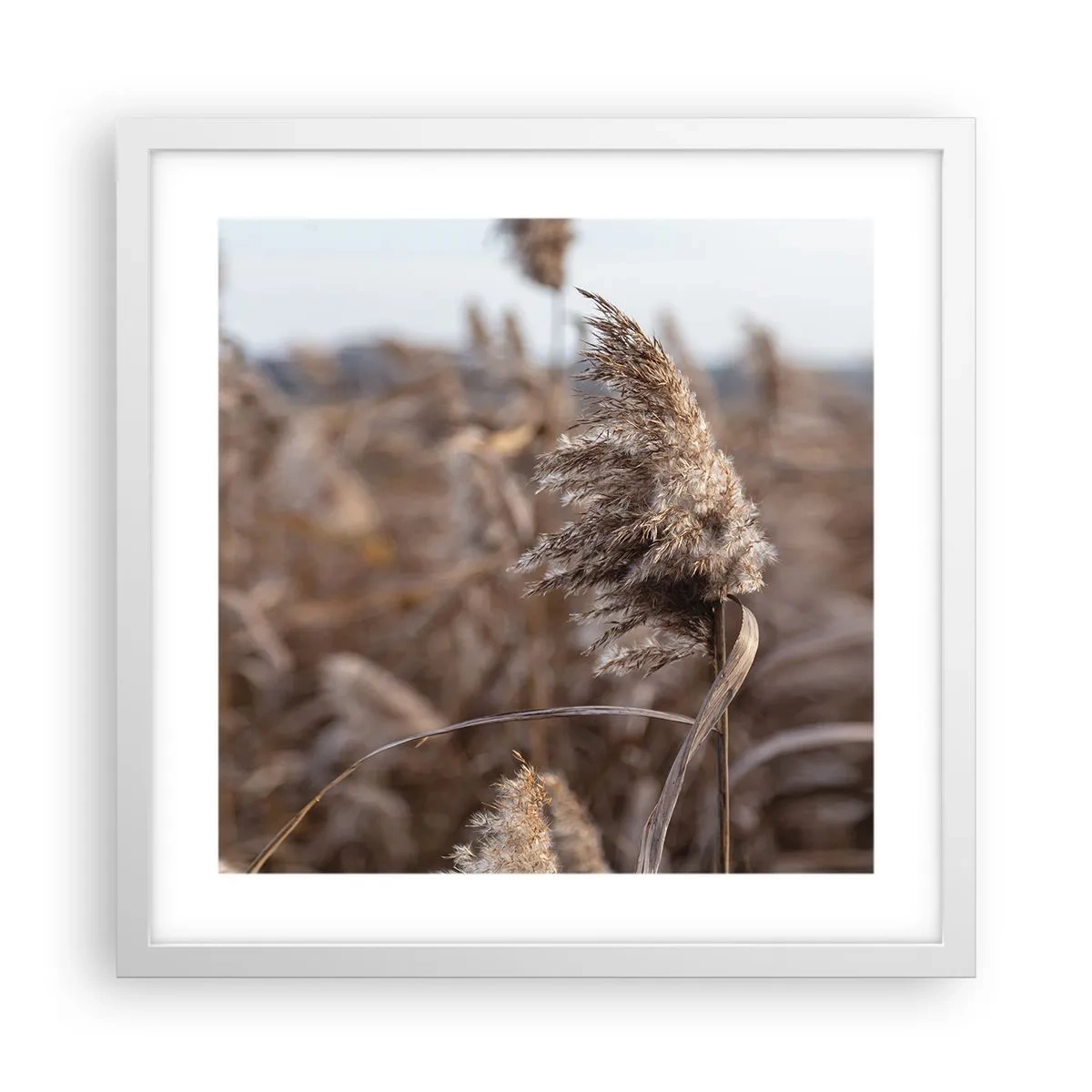 Plakat w białej ramie - Czas odlecieć z wiatrem - 40x40 cm