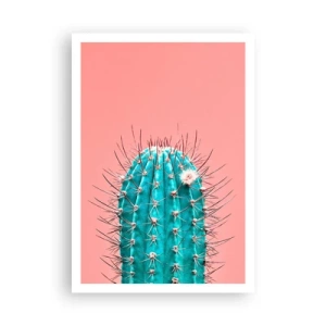 Plakat - Tylko patrz - 70x100 cm