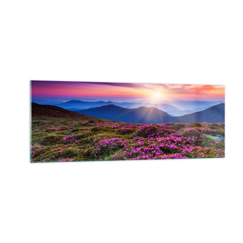 Obraz na szkle - Górska łąka z kwiatami o zachodzie słońca - 140x50cm - Ziół zapachniały świeże pęki od niw - Nowoczesna dekoracja ścienna do salonu i sypialni ARTTOR