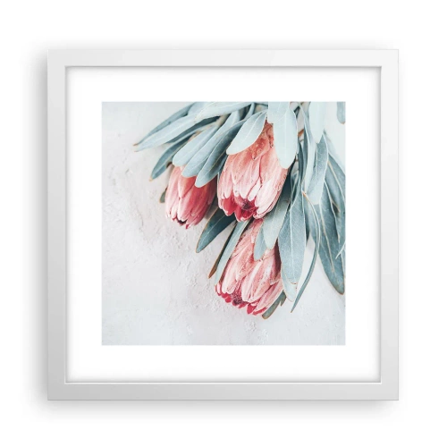 Plakat w białej ramie - Zawstydzone własną urodą - 30x30 cm