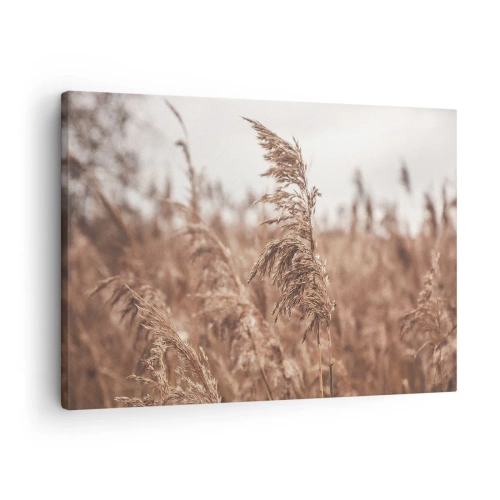 Obraz na płótnie - Złote trawy na tle jesiennej scenerii - 70x50cm - Na polach już jesień - Nowoczesna dekoracja ścienna do salonu i sypialni ARTTOR