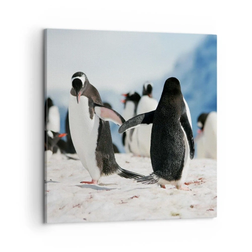 Obraz na płótnie - Taniec na śniegu - 50x50 cm