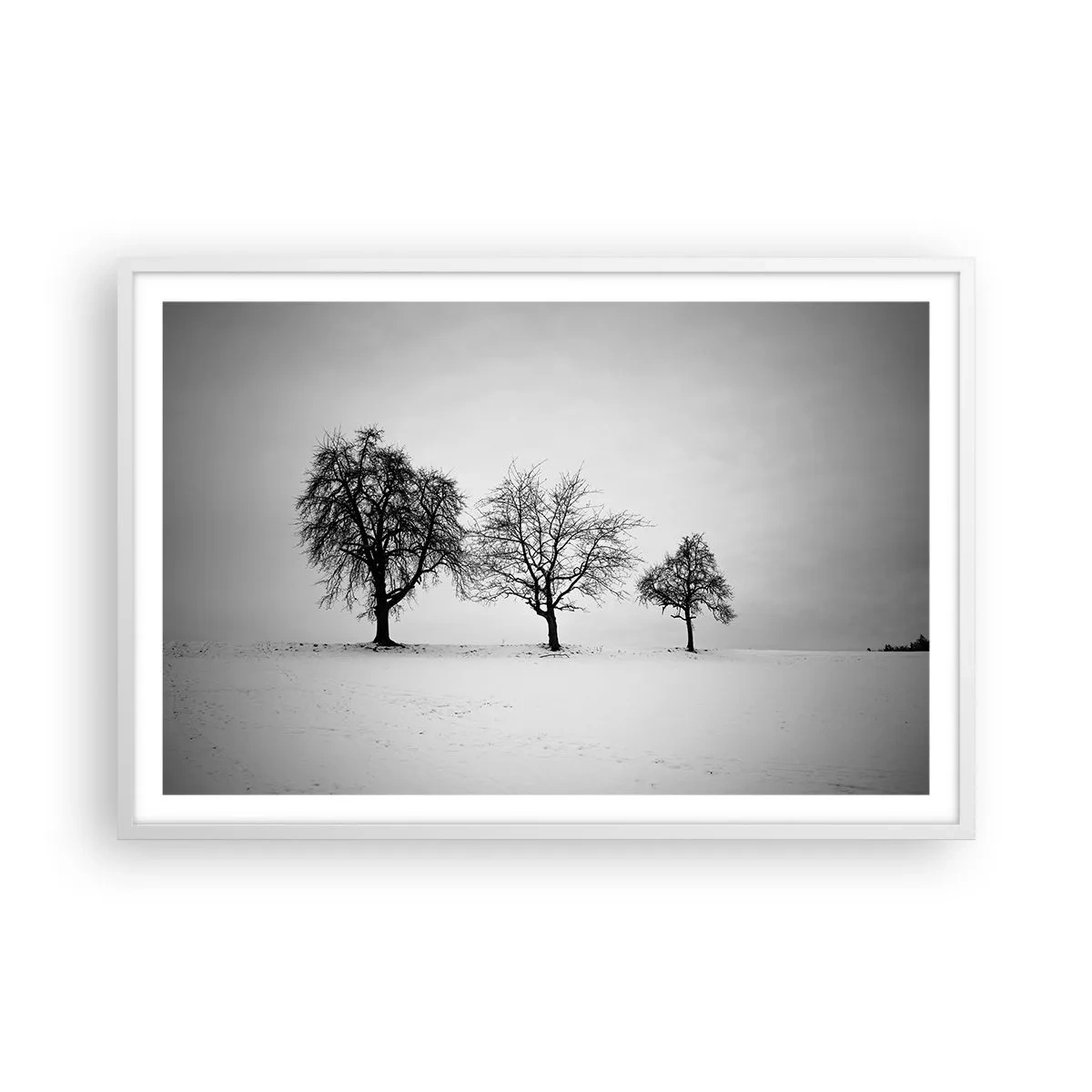 Plakat w białej ramie - O czym śnią? - 91x61 cm