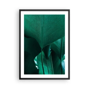 Plakat w czarnej ramie - Zbliżenie na duże zielone liście z widoczną strukturą i teksturą - 50x70cm - Zwrócone do światła - Nowoczesna dekoracja ścienna do salonu i sypialni ARTTOR