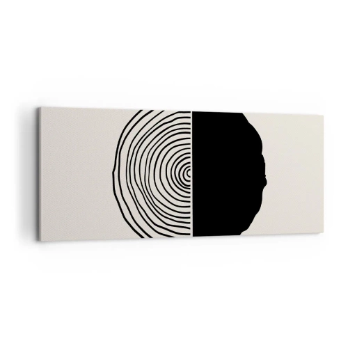 Obraz na płótnie - Pół na pół - 100x40 cm