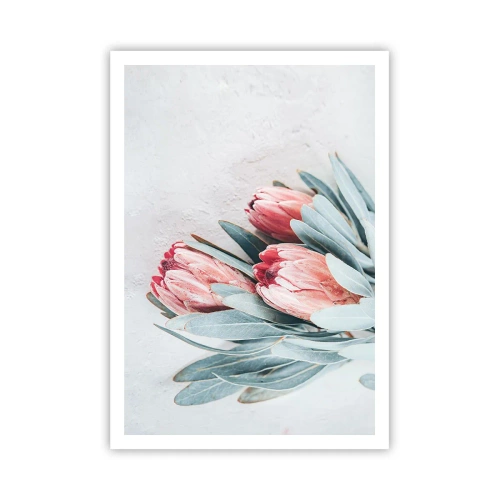 Plakat - Zawstydzone własną urodą - 70x100 cm