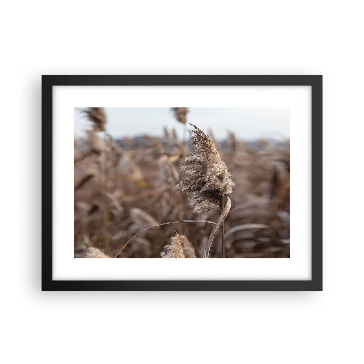 Plakat w czarnej ramie - Czas odlecieć z wiatrem - 40x30 cm