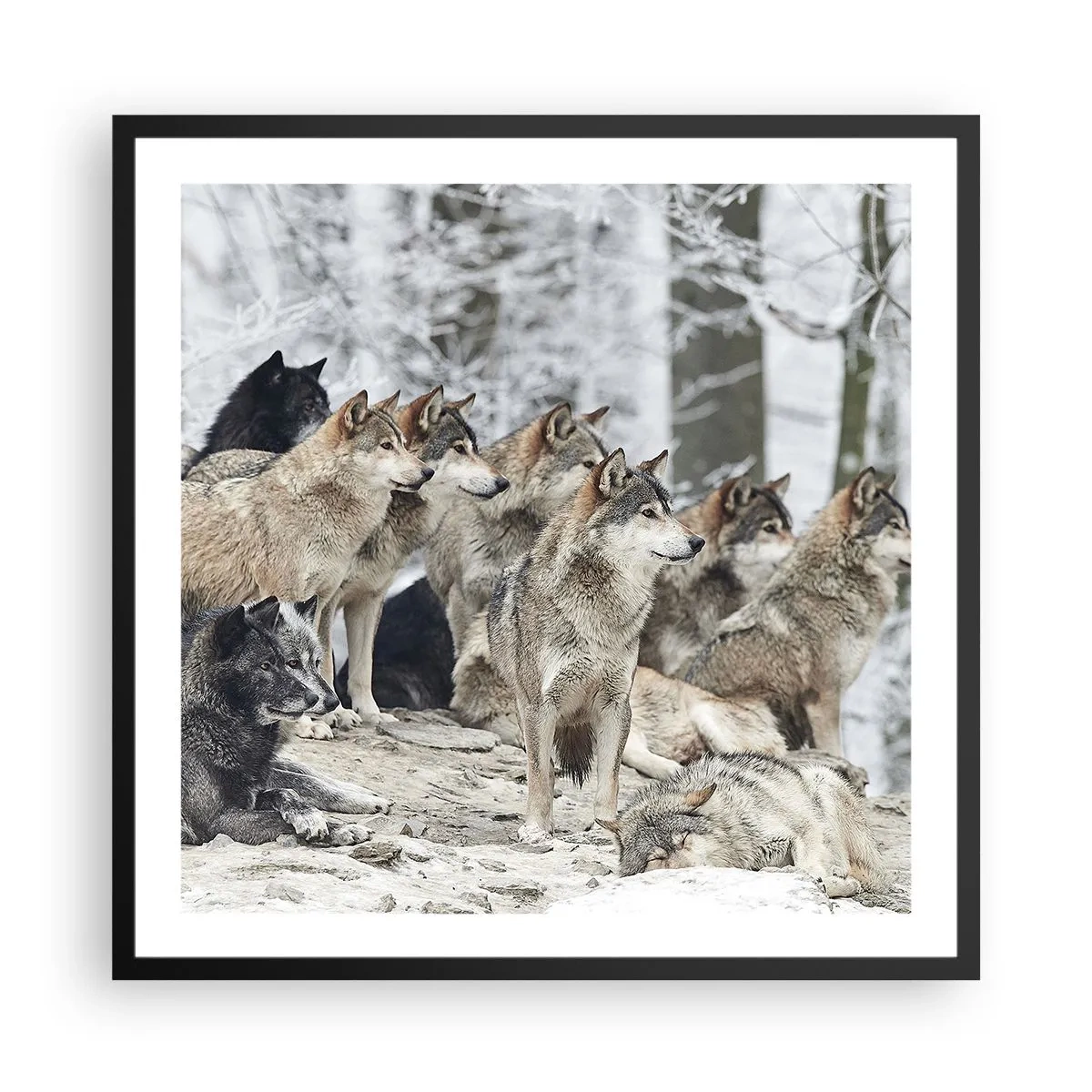 Plakat w czarnej ramie - Rodzina i przyjaciele - 60x60 cm