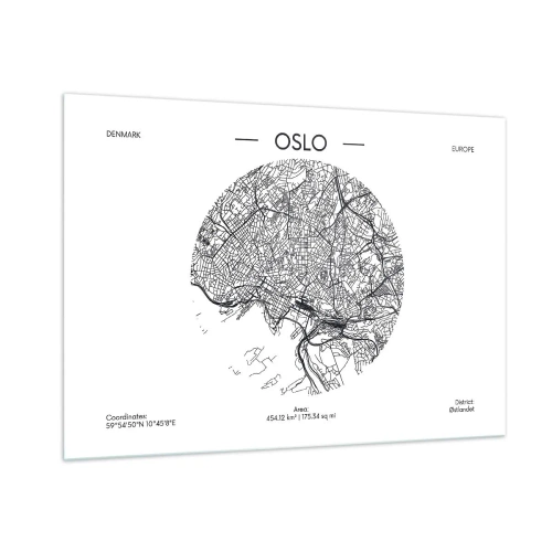 Obraz na szkle - Anatomia Oslo - 100x70 cm