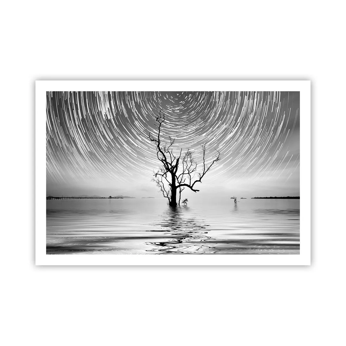 Plakat - Symfonia natury - 91x61 cm