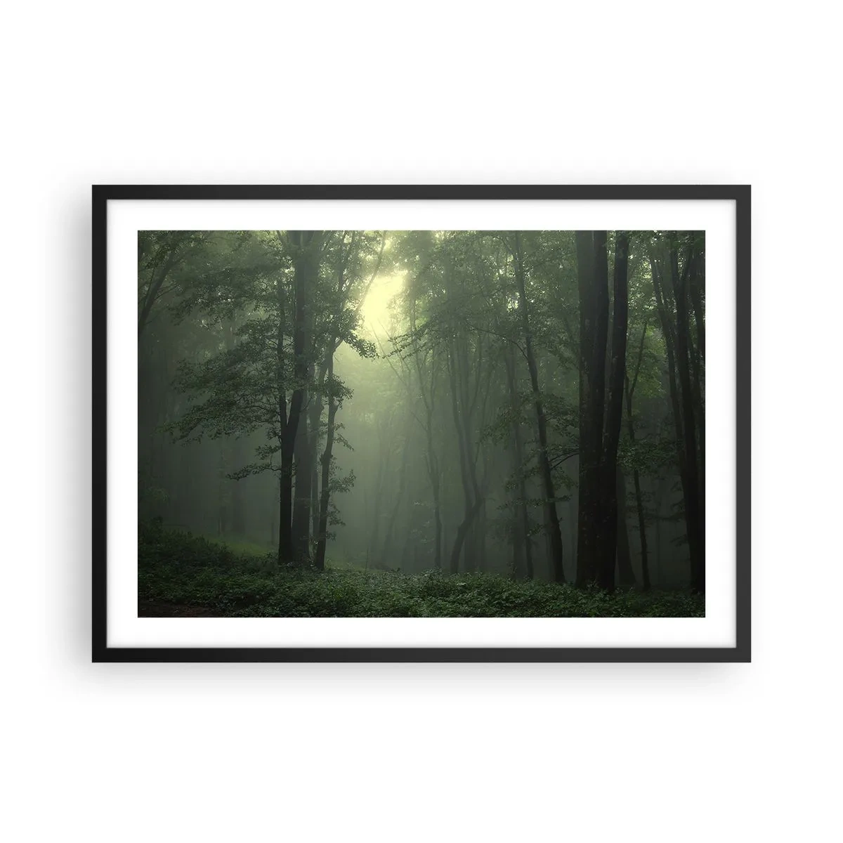 Plakat w czarnej ramie - Zielony las o poranku otulony delikatną mgłą - 70x50cm - Zanim się obudzi - Nowoczesna dekoracja ścienna do salonu i sypialni ARTTOR