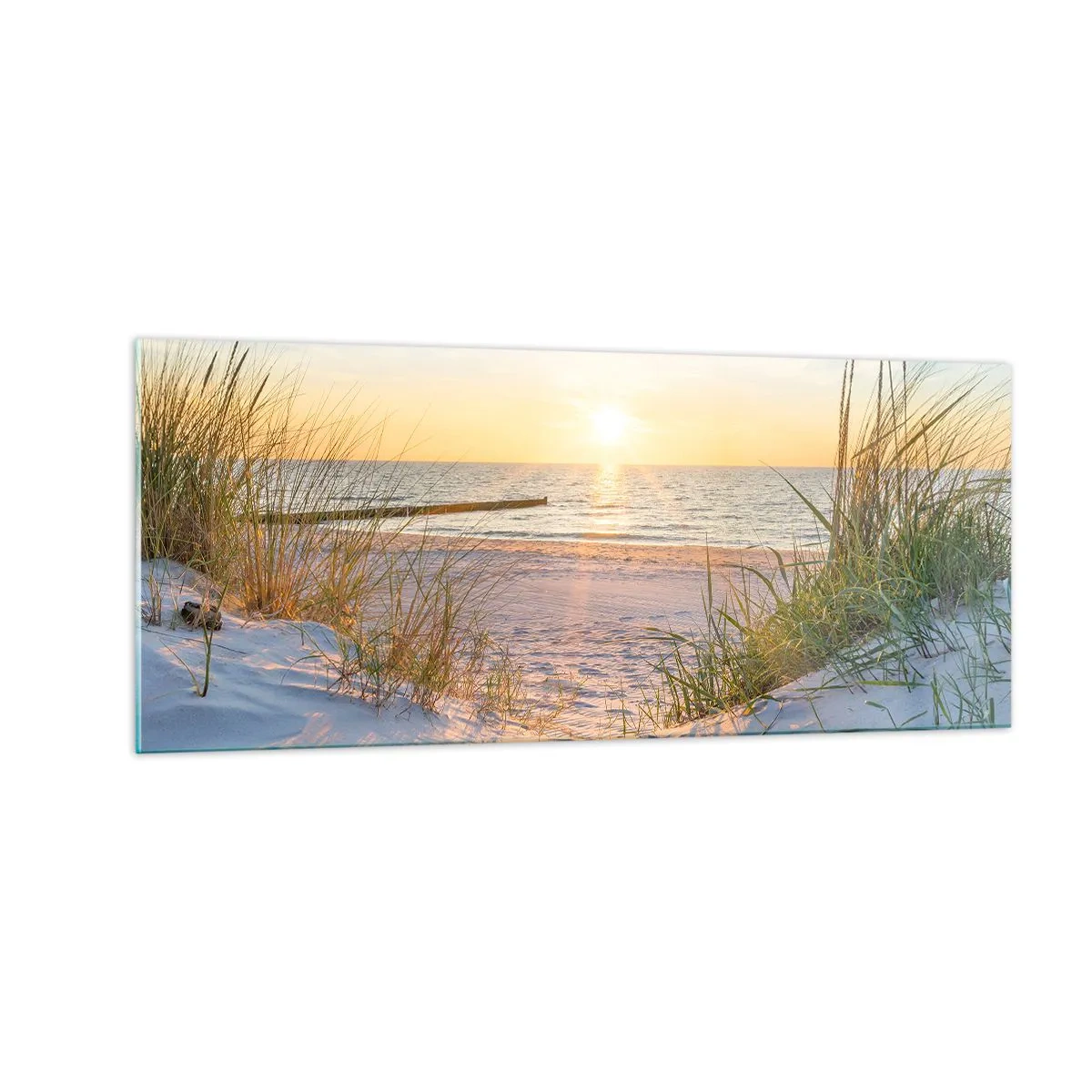 Obraz na szkle - Morza szum, ptaków śpiew, dzika plaża pośród traw… - 100x40 cm
