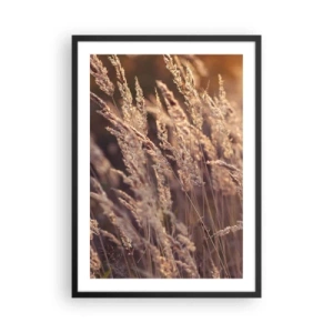 Plakat w czarnej ramie - Złociste kłosy traw oświetlone promieniami słońca - 50x70cm - Gotowe na powitanie jesieni - Nowoczesna dekoracja ścienna do salonu i sypialni ARTTOR