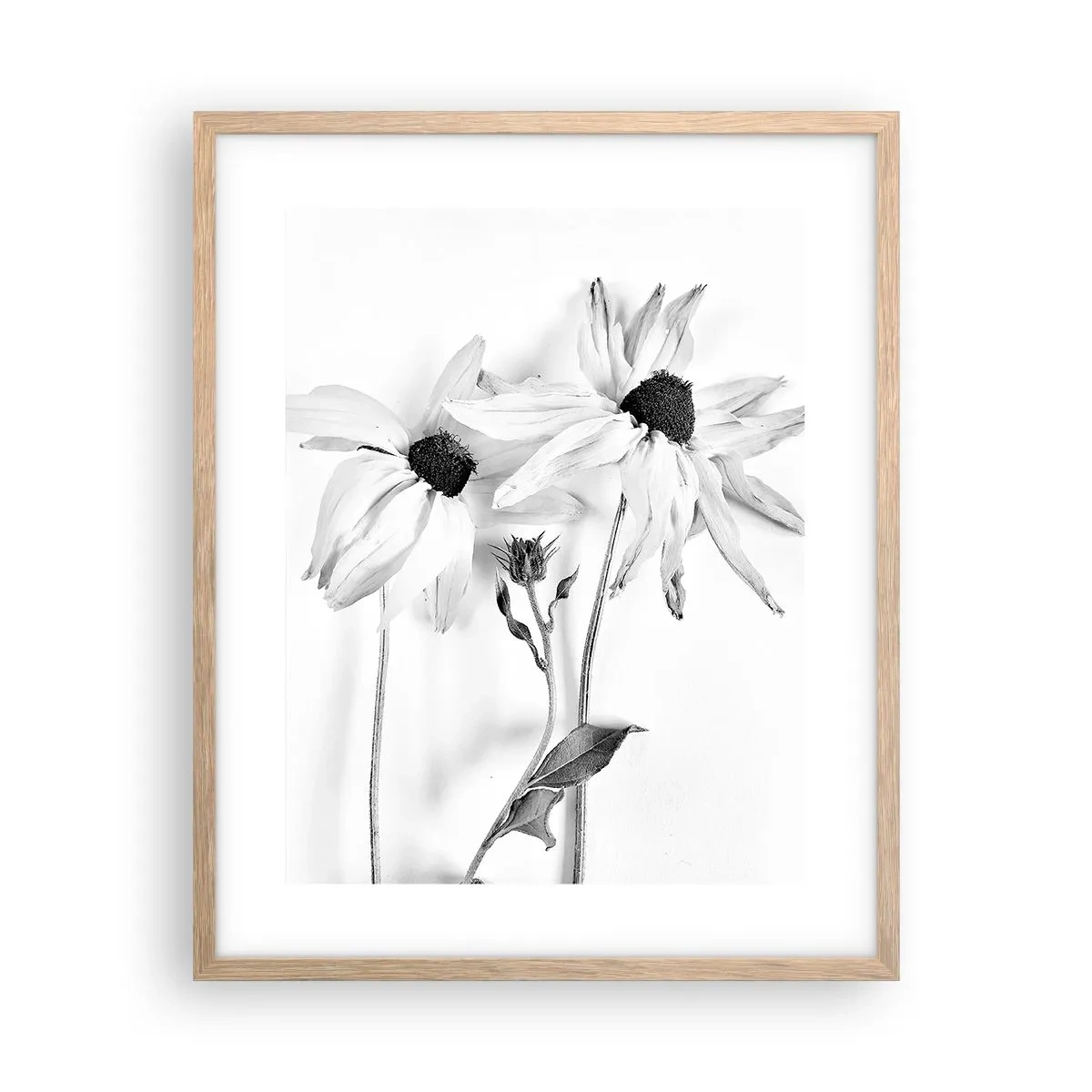 Plakat w ramie jasny dąb - Nikt nie chce być sam - 40x50 cm