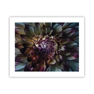 Plakat - Rozkwit młodości - 50x40 cm