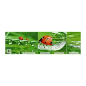 Fototapeta Próbka Premium Canvas - W drodze całe lato - Biedronka, Kropla Wody, Natura - 100x30 cm