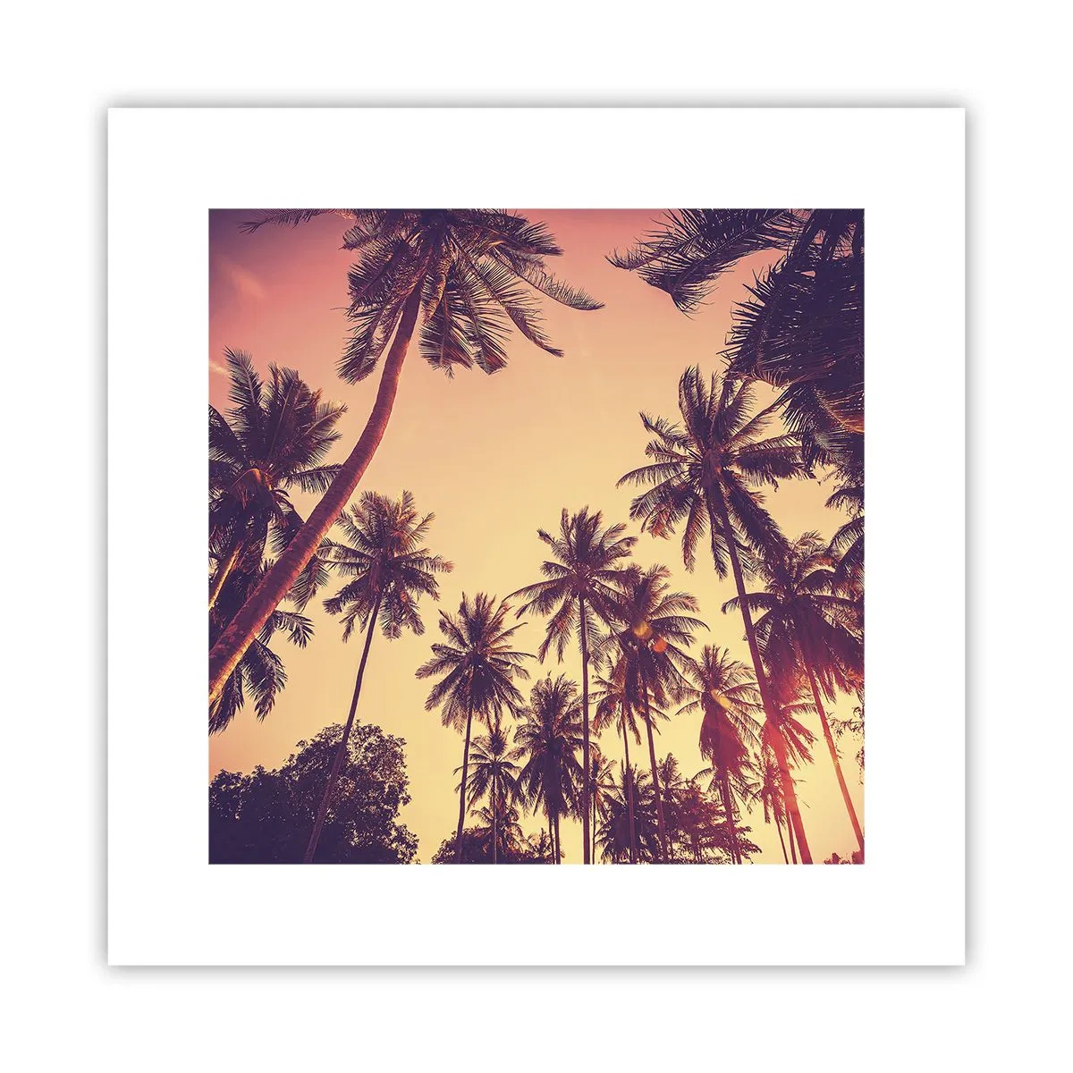 Plakat - Tropikalna wariacja - 30x30 cm