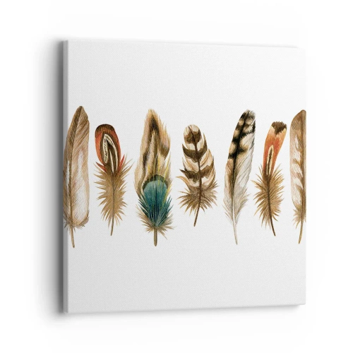 Obraz na płótnie - Pierzasta wariacja - 40x40 cm