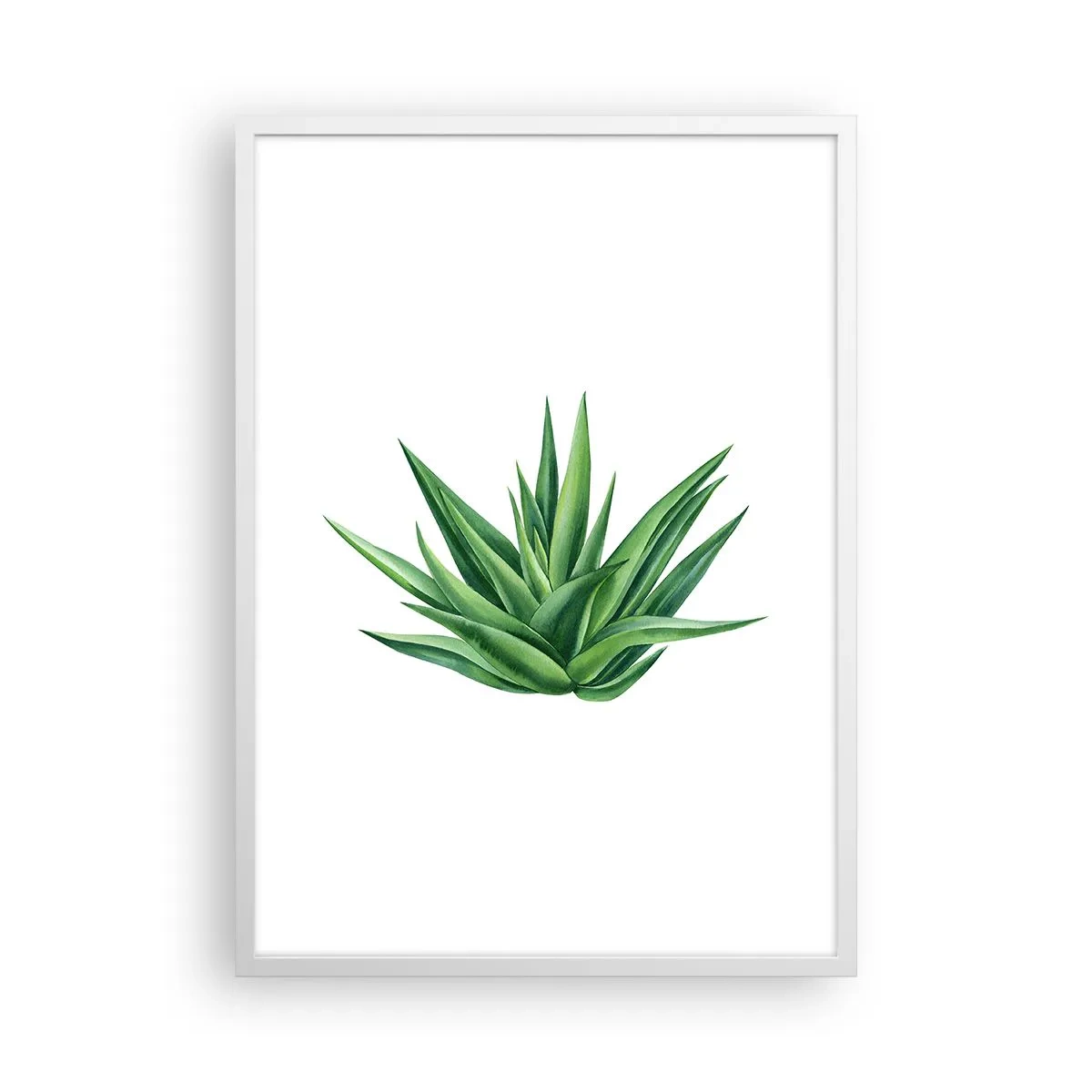 Plakat w białej ramie - Zieleń – siła – życie - 50x70 cm