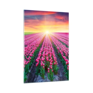 Obraz na szkle - Pole tulipanów o zachodzie słońca - 80x120cm - Farma piękności - Nowoczesna dekoracja ścienna do salonu i sypialni ARTTOR
