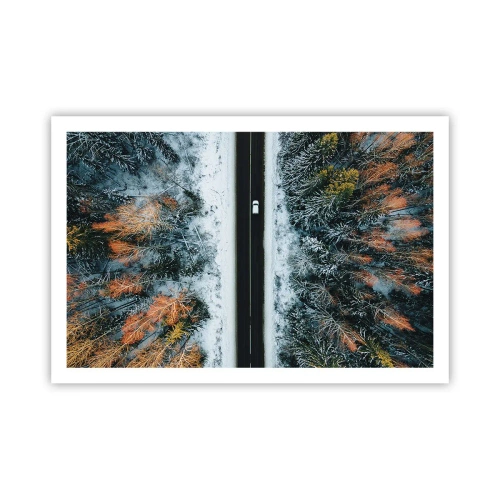 Plakat - Przeciąć zimowy las - 91x61 cm