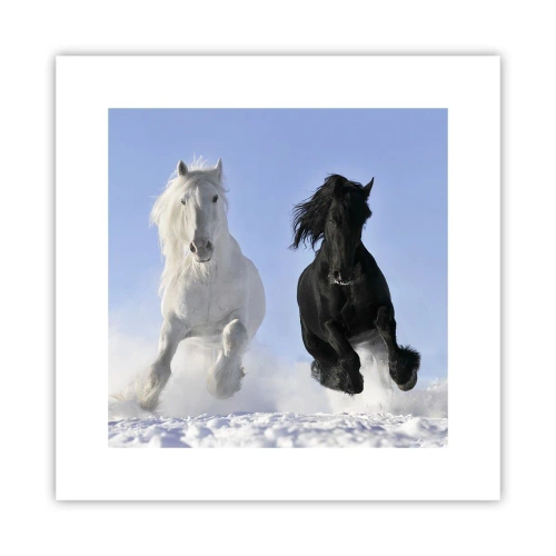 Plakat - Czarno-biały galop - 30x30 cm