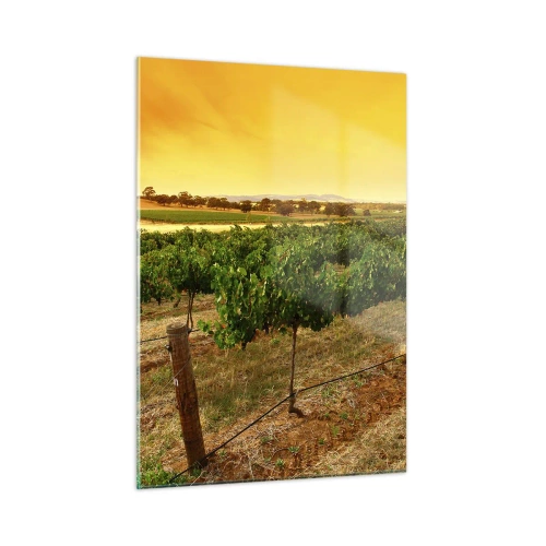 Obraz na szkle - Winorośl w ciepłym świetle zachodzącego słońca - 50x70cm - Napić się słońca - Nowoczesna dekoracja ścienna do salonu, kuchni i sypialni ARTTOR