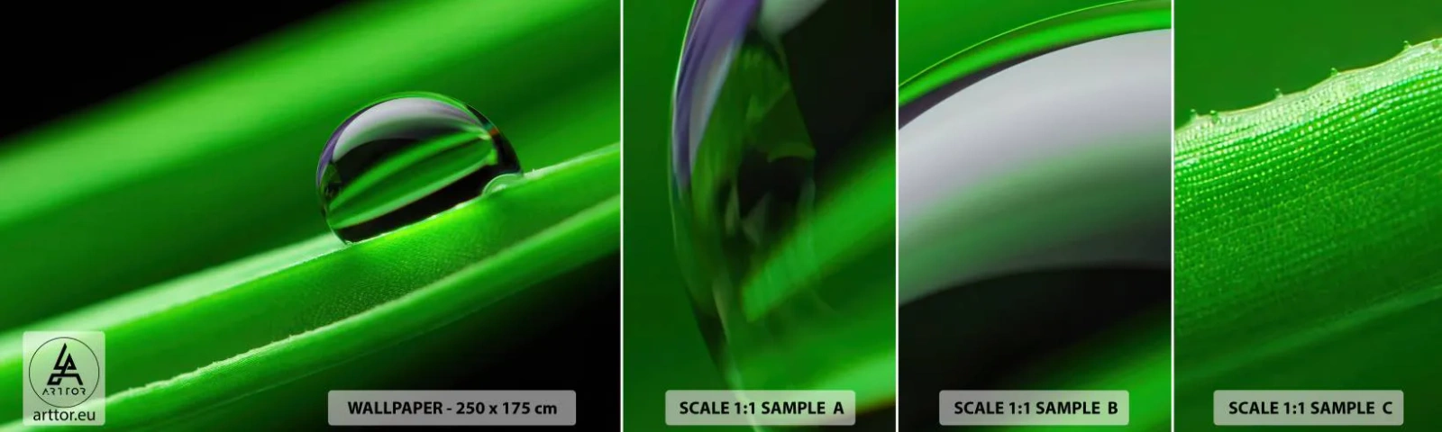 Fototapeta Próbka Standard Eco - Życie z bliska - Abstrakcja, Grafika, Kropla Wody - 100x30 cm