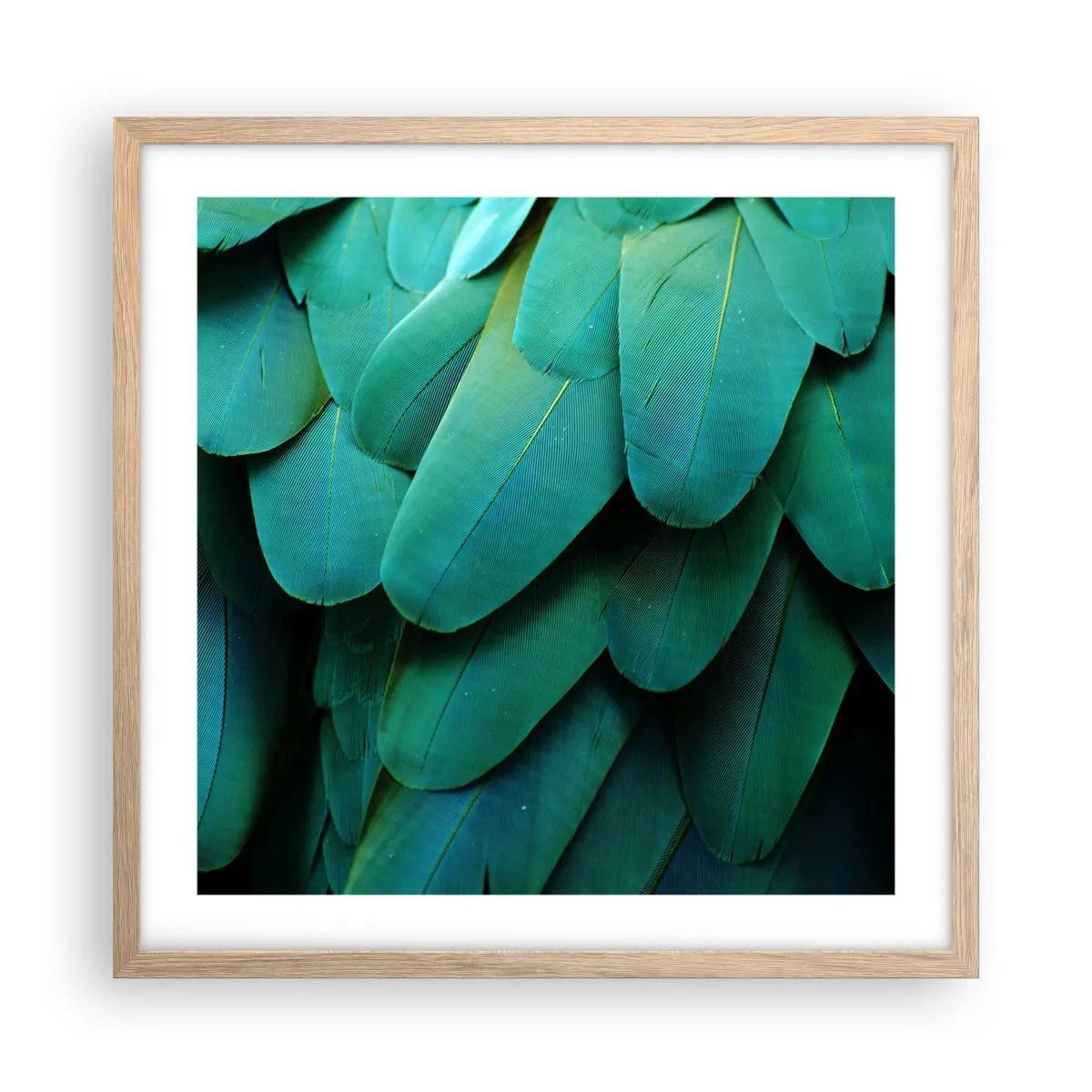 Plakat w ramie jasny dąb - Precyzja papuziej natury - 50x50 cm