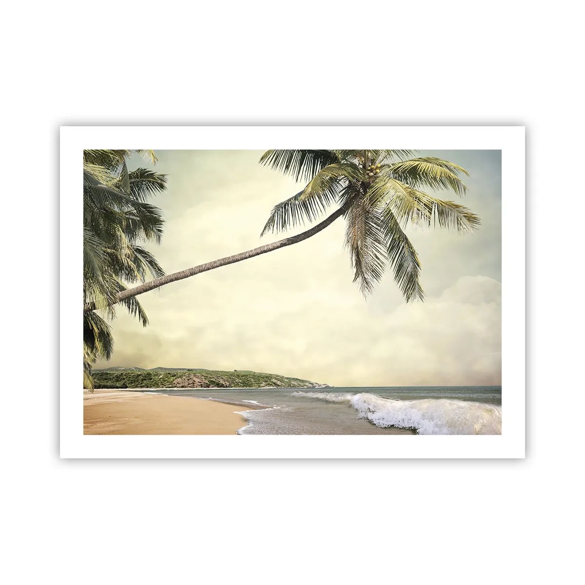 Plakat - Tropikalne marzenie - 70x50 cm