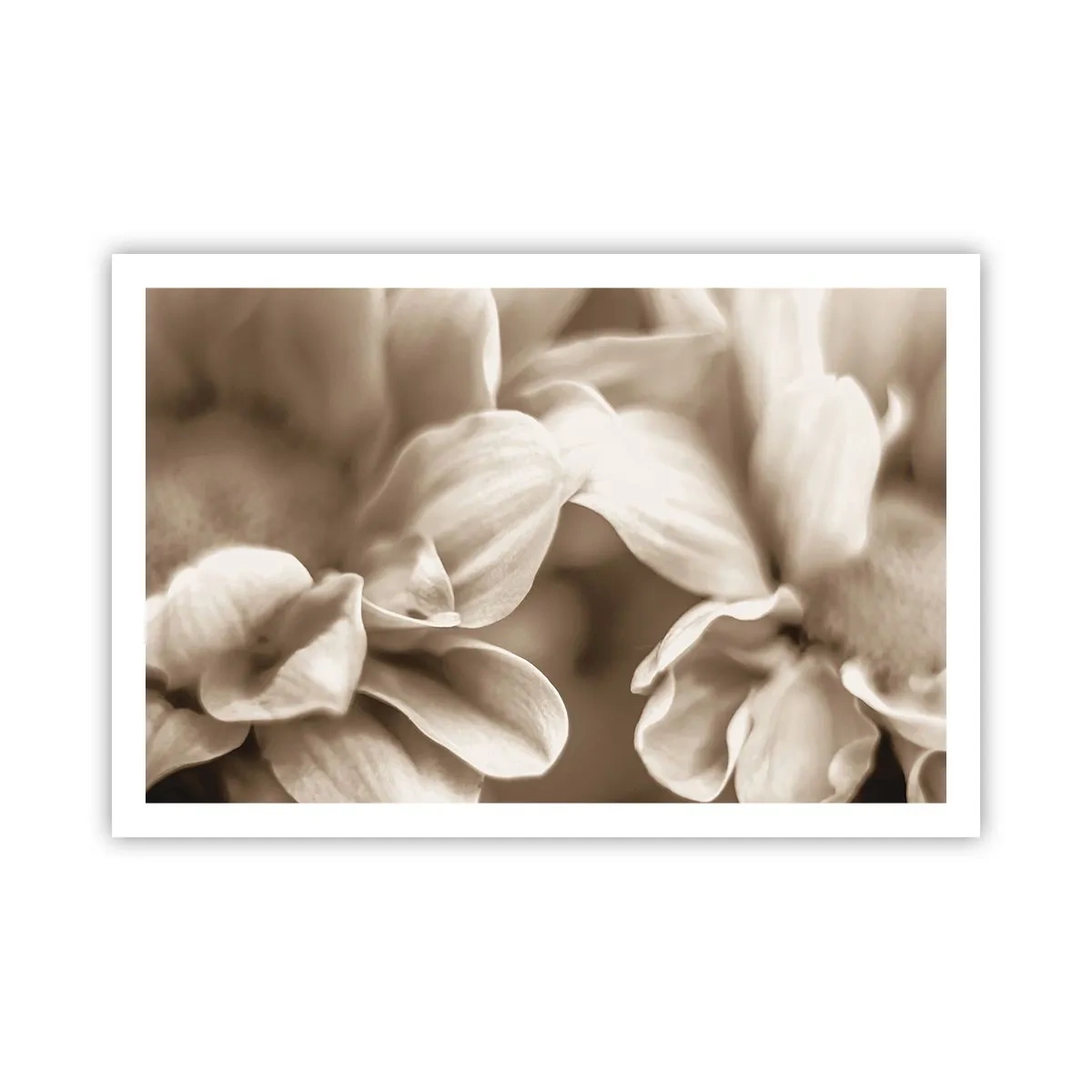 Plakat - Łagodne jak uśmiech - 91x61 cm