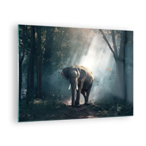Obraz na szkle - Słoń przechadzający się przez las z promieniami słońca wpadającymi przez drzewa - 70x50cm - Spokojna przechadzka - Nowoczesna dekoracja ścienna do salonu i sypialni ARTTOR