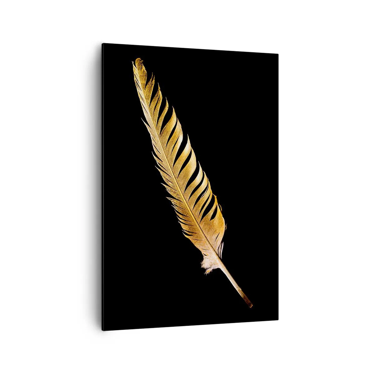 Obraz na płótnie - Złote pióro na czarnym tle - 70x100cm - Nie lada piórem opatrzony… - Nowoczesna dekoracja ścienna do salonu i sypialni ARTTOR