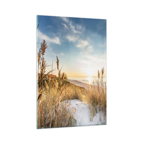 Obraz na szkle - Malownicza plaża z trawami i zachodzącym słońcem - 80x120cm - Północna plaża - Nowoczesna dekoracja ścienna do salonu i sypialni ARTTOR