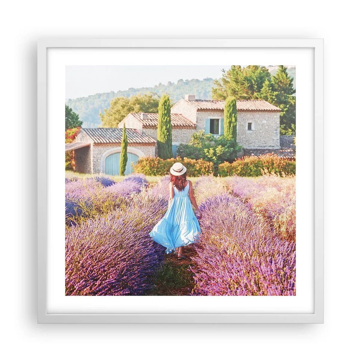 Plakat w białej ramie - Lawendowa dziewczyna - 50x50 cm