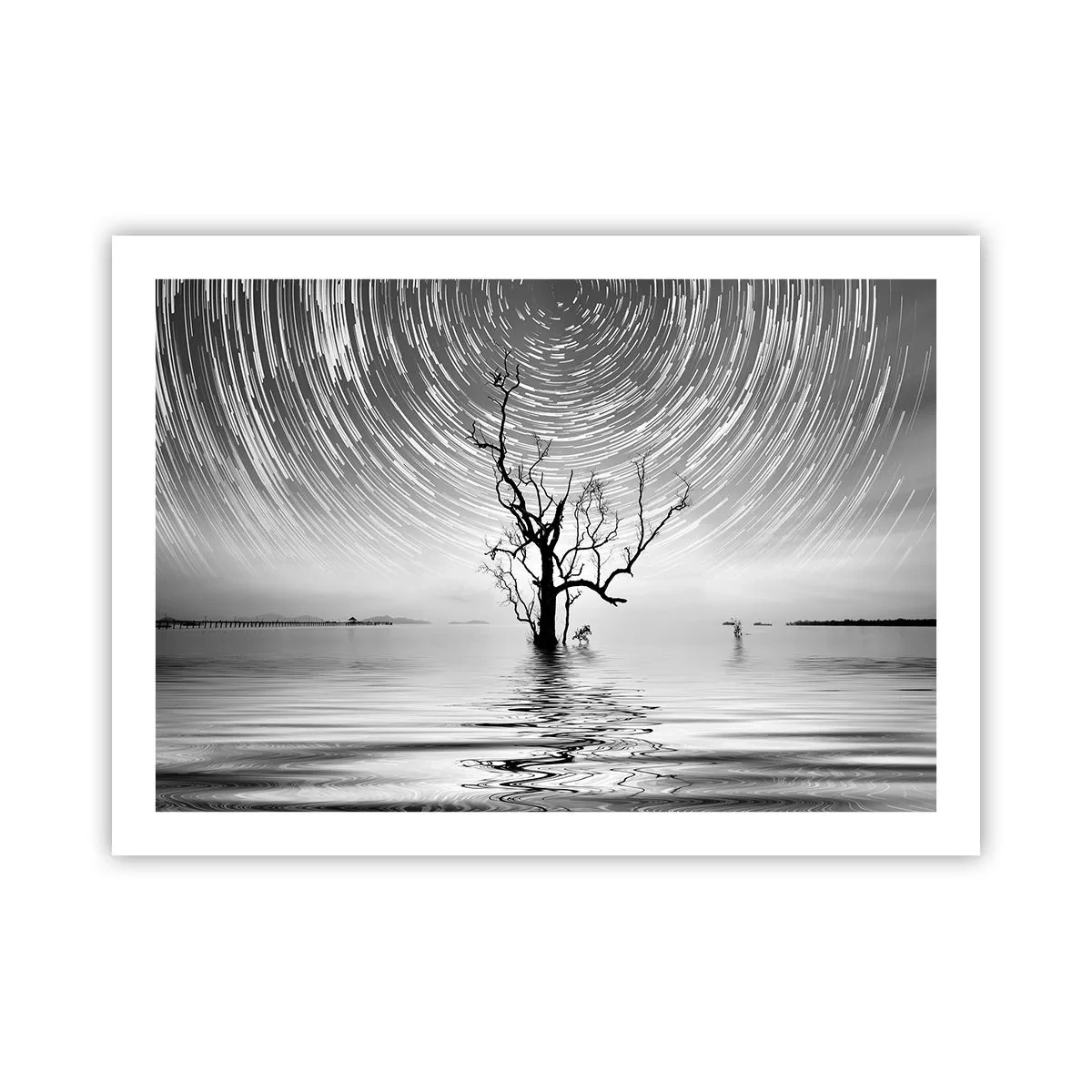 Plakat - Symfonia natury - 70x50 cm