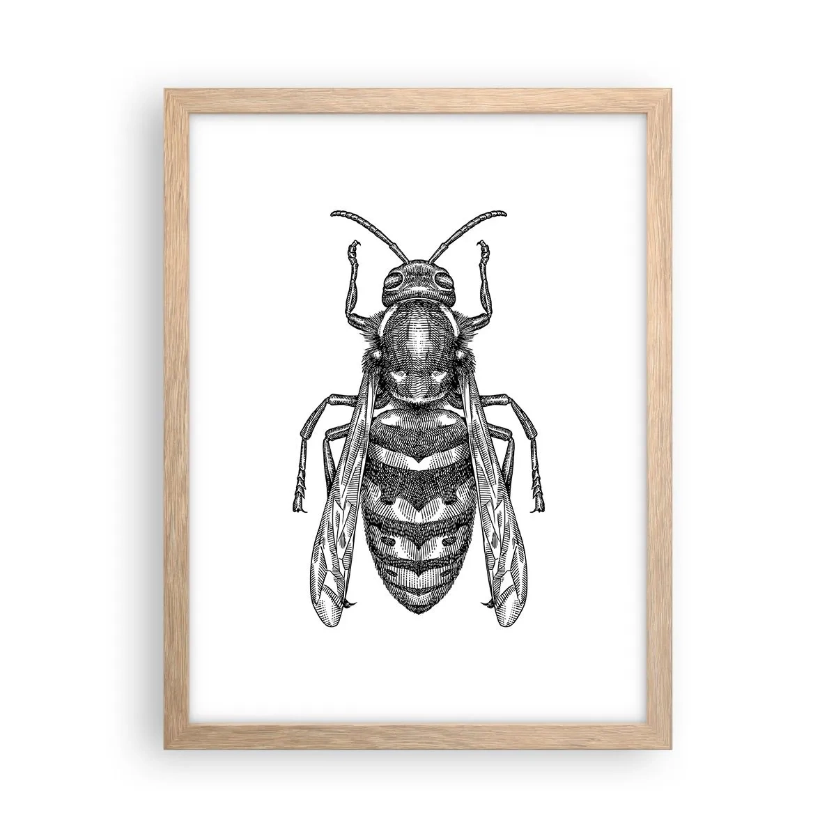 Plakat w ramie jasny dąb - Z owadziej planety - 30x40 cm