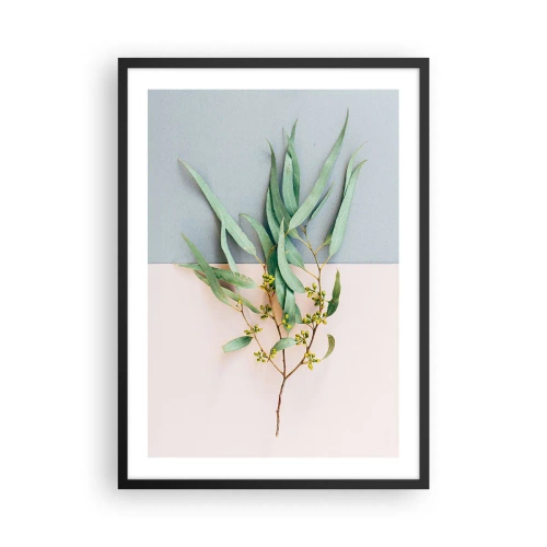 Plakat w czarnej ramie - Gałązka eukaliptusa na pastelowym tle - 50x70cm - Pastelowa subtelność - Nowoczesna dekoracja ścienna do salonu i sypialni ARTTOR