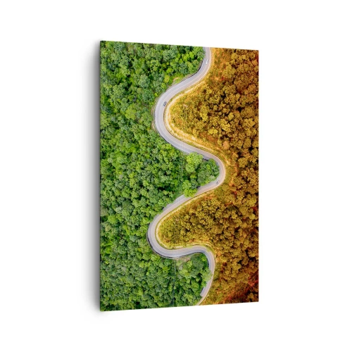 Obraz na płótnie - Zakręcona droga przez las widziana z lotu ptaka - 80x120cm - Granice i przełomy - Nowoczesna dekoracja ścienna do salonu i sypialni ARTTOR