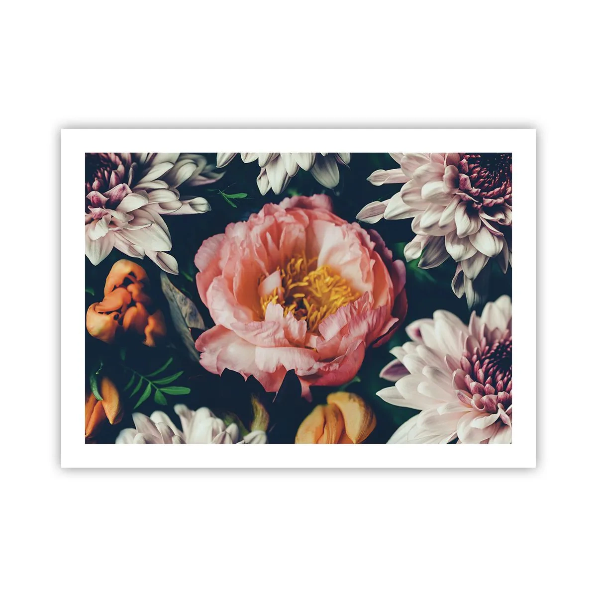 Plakat - Z barokowym przepychem - 70x50 cm