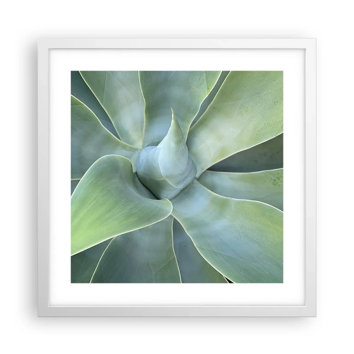 Plakat w białej ramie - Narodziny zieleni - 40x40 cm